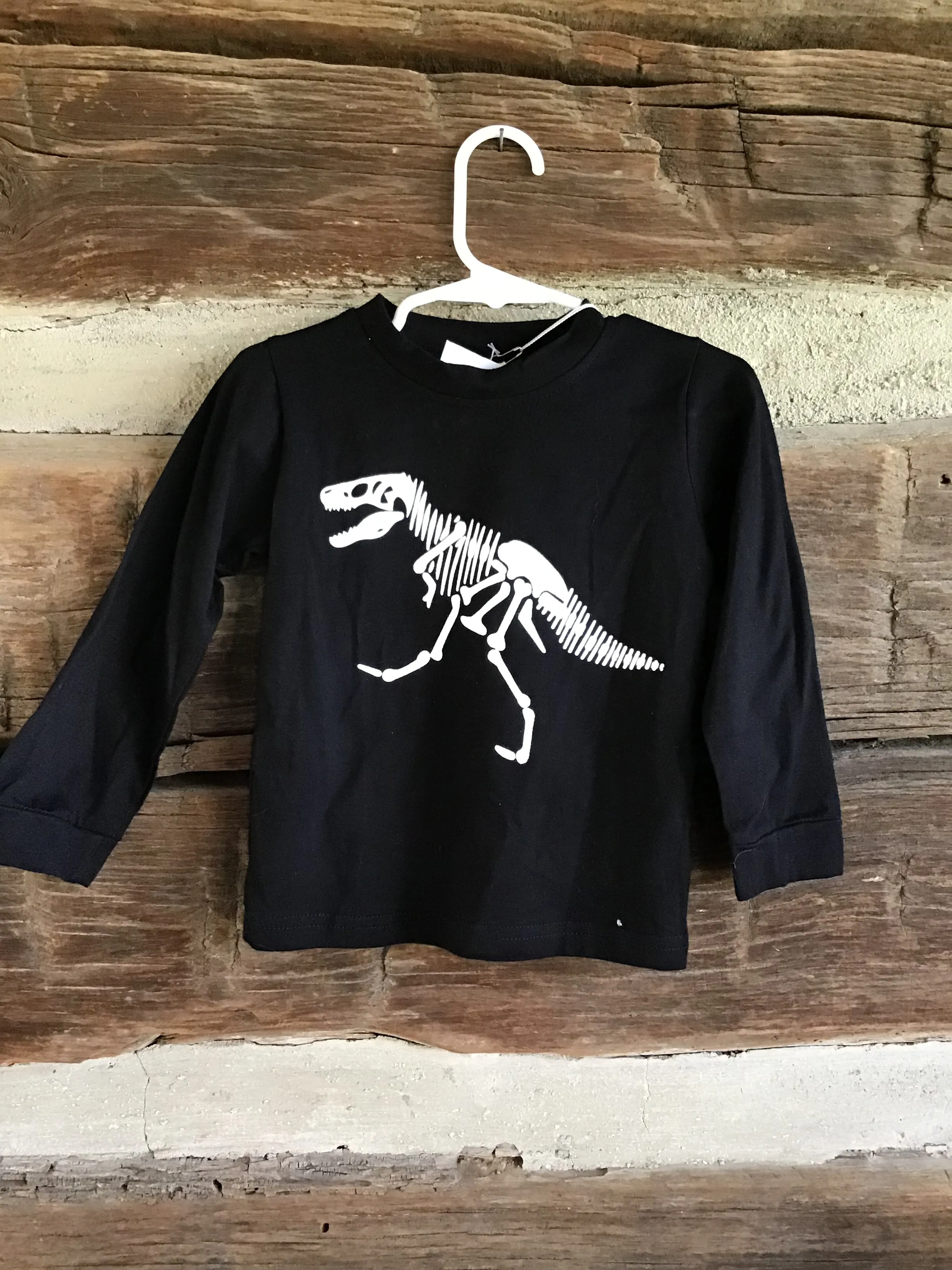 Boutique NEW!! Dinosaur Shirt & Pants Set youth sizes