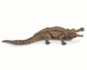 Sarcosuchus